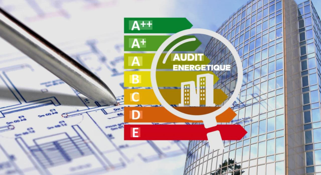 Mandatory energy audit P6: all sectors concerned